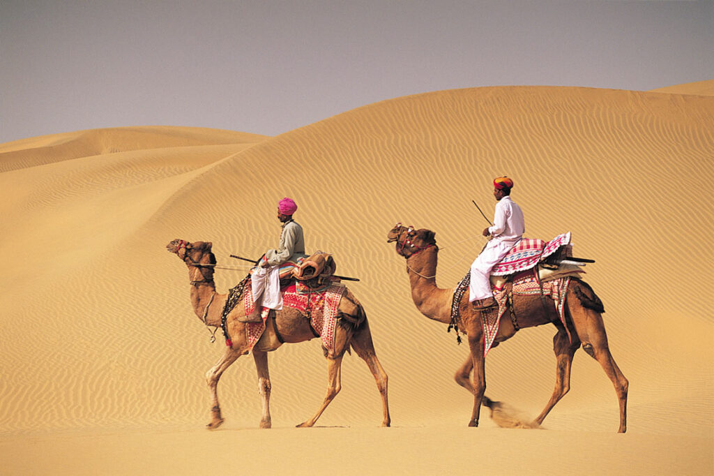 camel safari in rajasthan with travelers enjoying desert experience