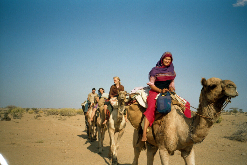 foreign tourists on camel ride in indian desert with traditional decorations