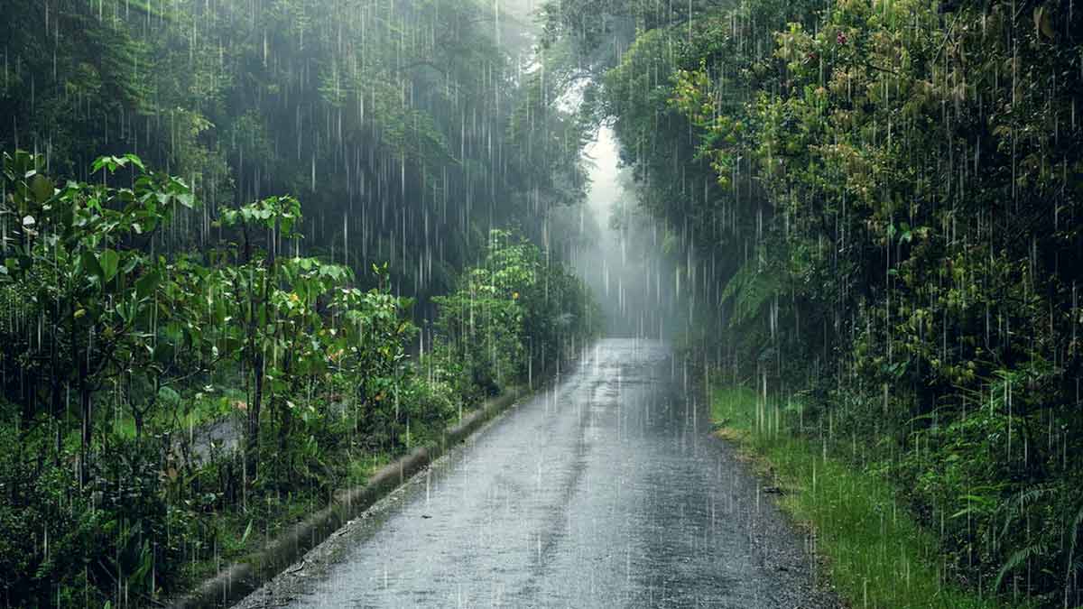 Best Places to visit in July in India: Hidden Paradise or Rainy Adventure?